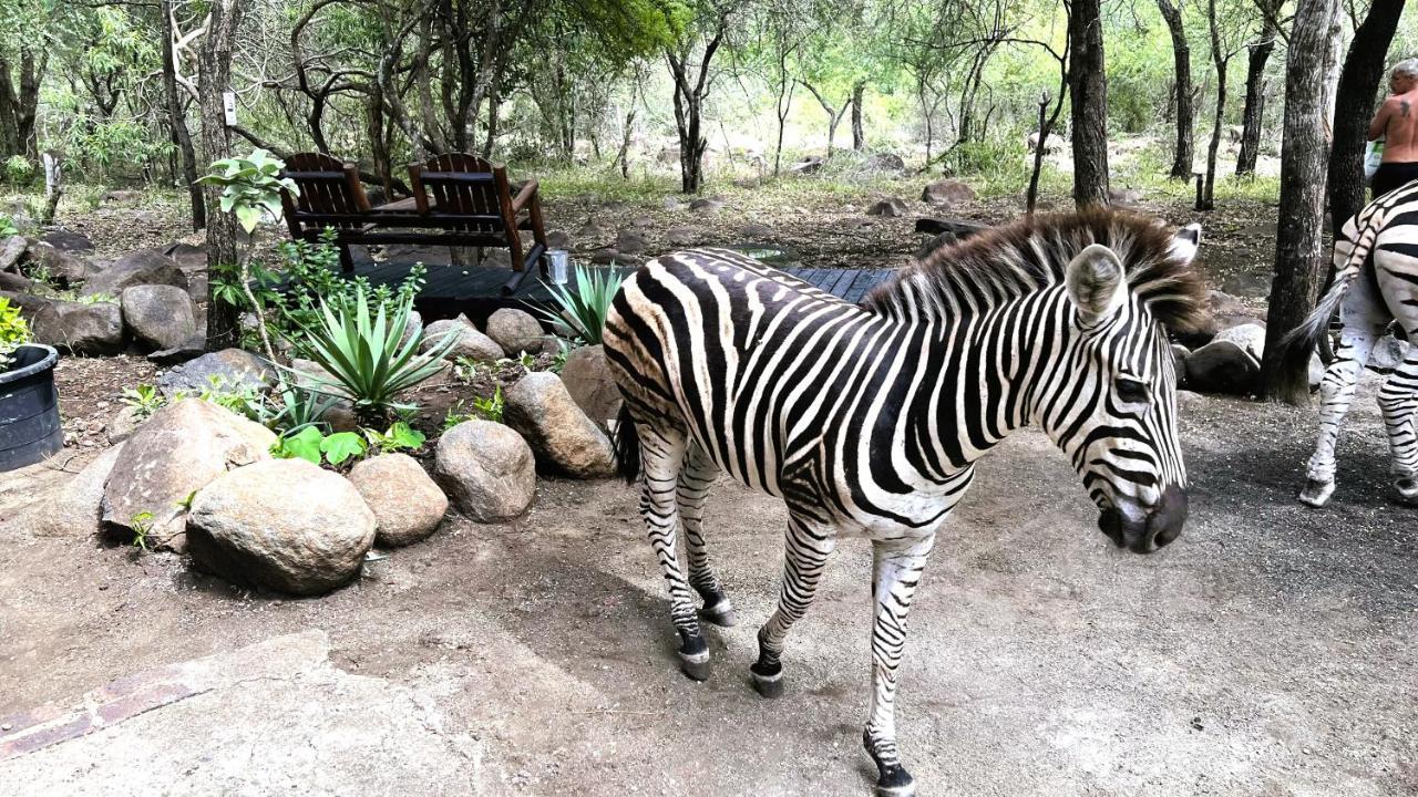 Kruger Kumba - Lahlekile Nathi Apartman Marloth Park Kültér fotó